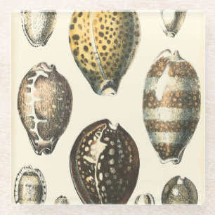 Eenvoudig gevormde zeeschelpen glazen onderzetter