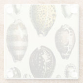 Eenvoudig gevormde zeeschelpen glazen onderzetter (Achterkant)