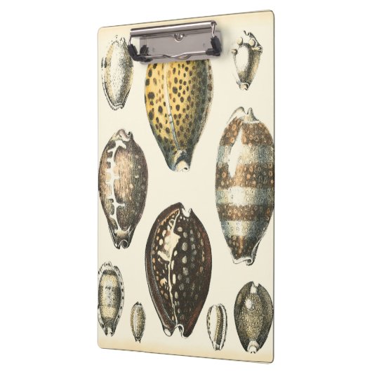 Eenvoudig gevormde zeeschelpen klembord (Links)