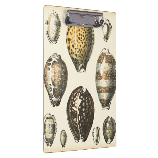 Eenvoudig gevormde zeeschelpen klembord (Rechts)