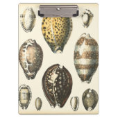 Eenvoudig gevormde zeeschelpen klembord (Voorkant)