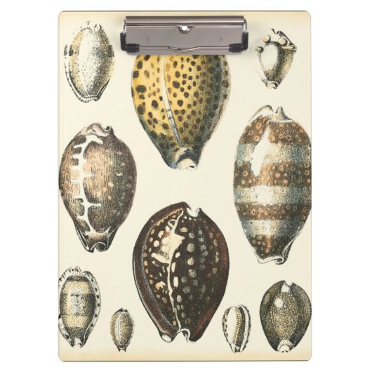 Eenvoudig gevormde zeeschelpen klembord (Voorkant)