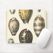 Eenvoudig gevormde zeeschelpen muismat (Met muis)
