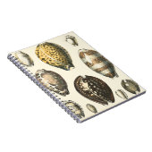 Eenvoudig gevormde zeeschelpen notitieboek (Rechterzijde)