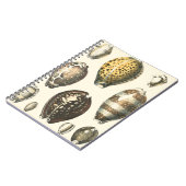 Eenvoudig gevormde zeeschelpen notitieboek (Linkerzijde)