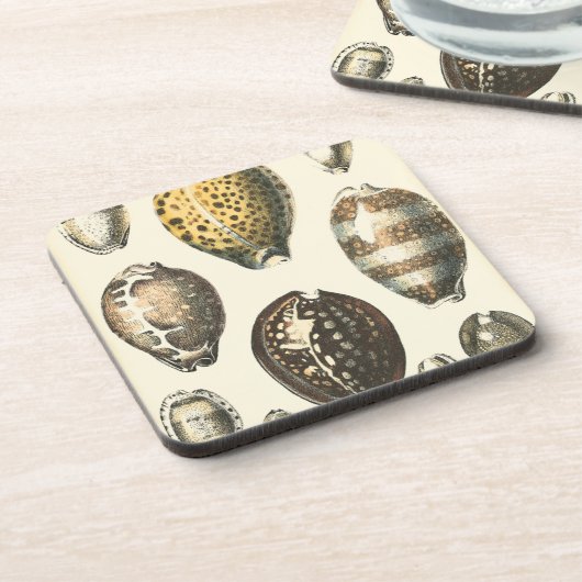 Eenvoudig gevormde zeeschelpen onderzetter (Linkerzijde)