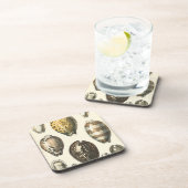 Eenvoudig gevormde zeeschelpen onderzetter (Rechterzijde)