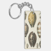 Eenvoudig gevormde zeeschelpen sleutelhanger (Voorkant Links)