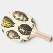 Eenvoudig gevormde zeeschelpen tafeltennisbatje (Zijkant)