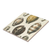 Eenvoudig gevormde zeeschelpen tegeltje (Zijkant)