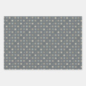 Eenvoudig grijs & zilveren polka stippen modern & inpakpapier vel (Voorkant 2)