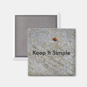 Eenvoudig houden magneet (Voorkant / Achterkant)