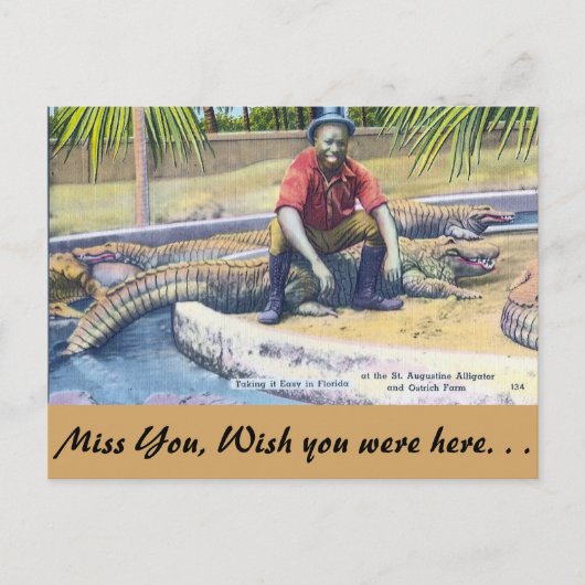 Eenvoudig in Florida Briefkaart (Voorkant)