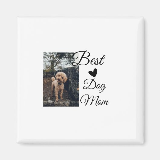 Eenvoudig kleurig dier voeg de naam van een foto-h magneet (Voorkant)