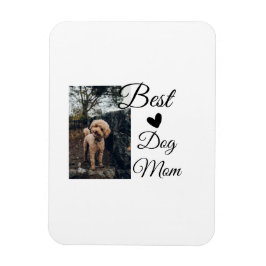 Eenvoudig kleurig dier voeg de naam van een foto-h magneet