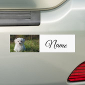 Eenvoudig kleurig dier voeg naamfoto's toe op aang bumpersticker (Op auto)