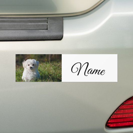 Eenvoudig kleurig dier voeg naamfoto's toe op aang bumpersticker (Op auto)