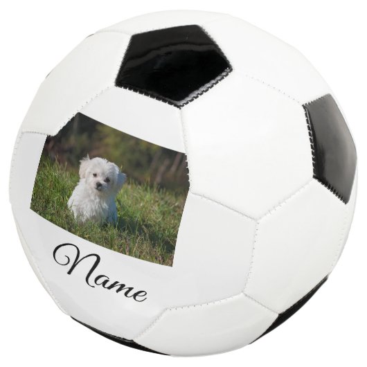 Eenvoudig kleurig dier voeg naamfoto's toe op aang voetbal (Drie kwart)