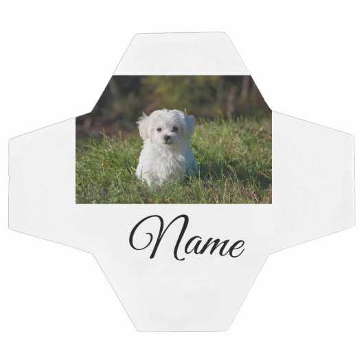 Eenvoudig kleurig dier voeg naamfoto's toe op aang voetbal (Enkel)