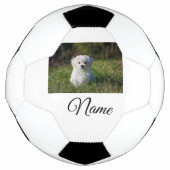 Eenvoudig kleurig dier voeg naamfoto's toe op aang voetbal (Voorkant)