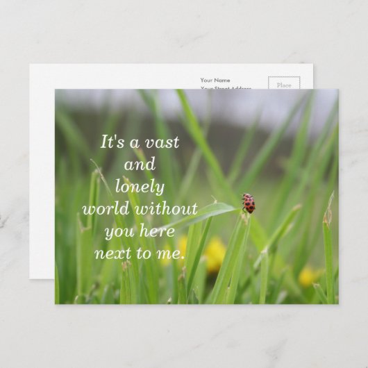 [Eenvoudig Ladybug] Ontbrekend u Briefkaart (Voorkant / Achterkant)