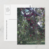 Eenvoudig leven briefkaart (Voorkant / Achterkant)