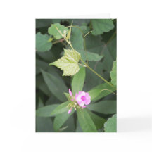 Eenvoudig leven ... Is geen Eenvoudig Vloercitaat