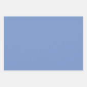 Eenvoudig Licht Donker Periwinkle Blauw Violet Sha Inpakpapier Vel (Voorkant)