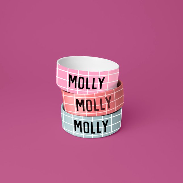 Eenvoudig, licht roze cheque, grafisch modern voerbakje (Creator heeft geüpload)