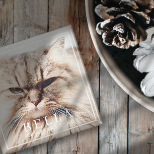 Eenvoudig Lijst Modern Chic Family Pet Photo Holid Magneet