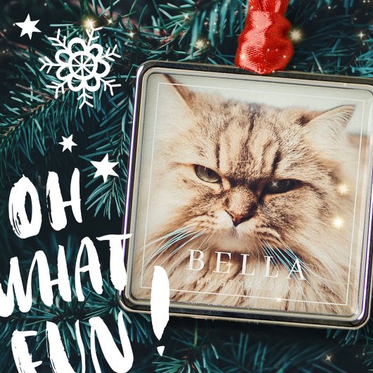 Eenvoudig Lijst Modern Chic Family Pet Photo Holid Metalen Ornament