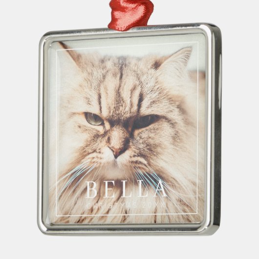 Eenvoudig Lijst Modern Chic Family Pet Photo Holid Metalen Ornament (Links)