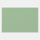 Eenvoudig massief meloen roze Cambridge blauw koel Inpakpapier Vel (Voorkant 2)