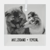 Eenvoudig, modern aangepast pakket of mensen glas ornament (Achterkant)