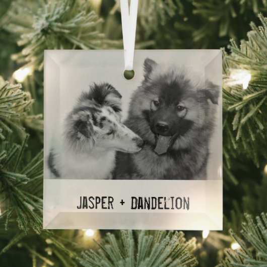 Eenvoudig, modern aangepast pakket of mensen glas ornament (Insitu)