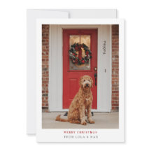 Eenvoudig Modern Merry Kerstmis | Dog-fotokaart