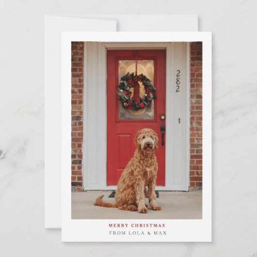 Eenvoudig Modern Merry Kerstmis | Dog-fotokaart Bedankkaart (Voorkant)