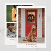 Eenvoudig Modern Merry Kerstmis | Dog-fotokaart Bedankkaart (Voorkant / Achterkant)