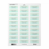 Eenvoudig Modern Mintgroen en Aqua Professioneel Etiket (Full Sheet)