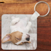 Eenvoudig Modern Script Hondennaam 2 Foto Sleutelhanger (Achterkant)