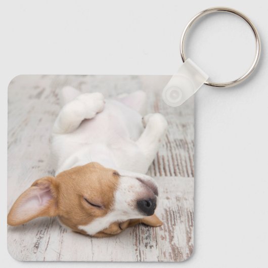 Eenvoudig Modern Script Hondennaam 2 Foto Sleutelhanger (Achterkant)