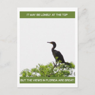 Eenvoudig op de Top Florida Post Card Briefkaart