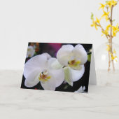 Eenvoudig orchideeën kaart (Gele Bloem)