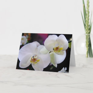 Eenvoudig orchideeën kaart