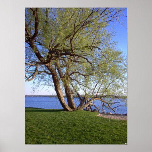 Eenvoudig Poster (Voorkant)