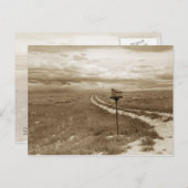 Eenvoudig postvak in Wyoming Briefkaart (Voorkant / Achterkant)