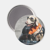 Eenvoudig rijder magneet (Voorkant / Achterkant)