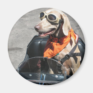 Eenvoudig rijder magneet