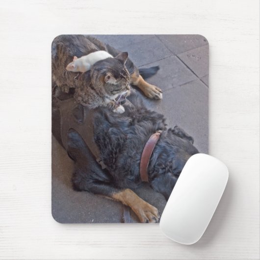 Eenvoudig rusten muismat (Met muis)