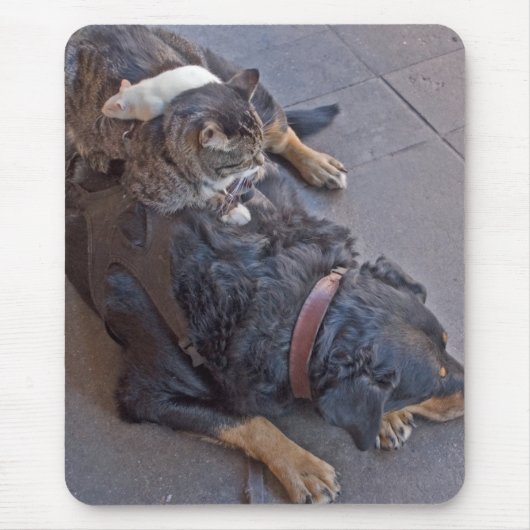 Eenvoudig rusten muismat (Voorkant)